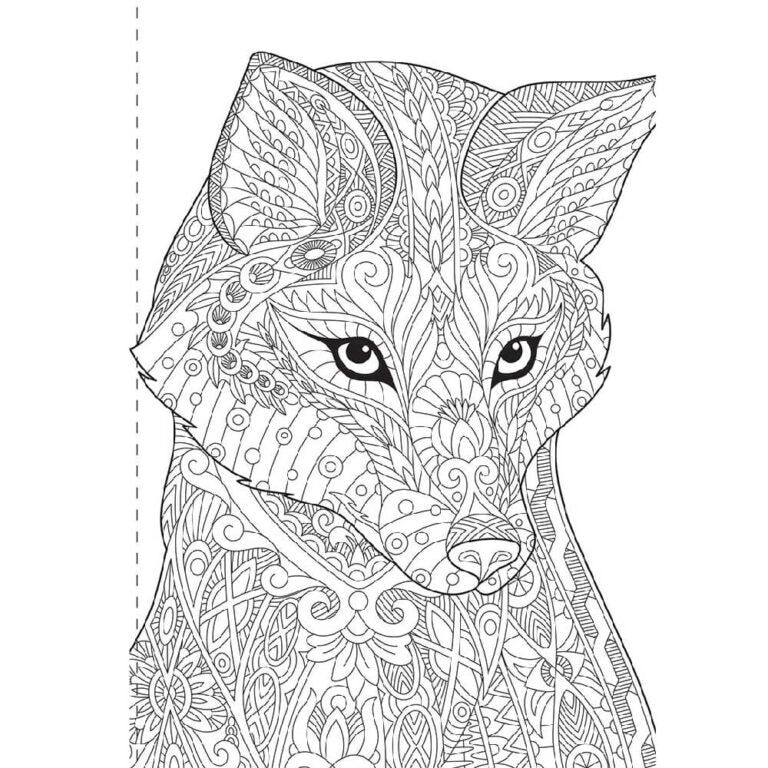 Hinkler Kaleidoscope Colouring Book 96 pages: Animals and More