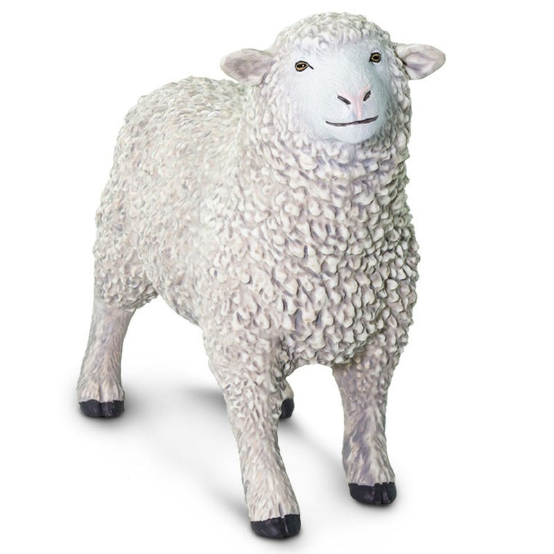 Safari Ltd Παιχνίδι-Μινιατούρα Πρόβατο 8cm