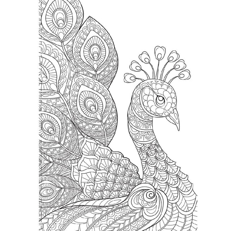 Hinkler Kaleidoscope Colouring Book 96 pages: Animals and More