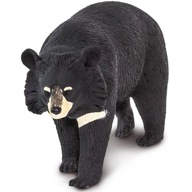 Safari Ltd Παιχνίδι-Μινιατούρα collar bear junior 11,25 x 6 cm