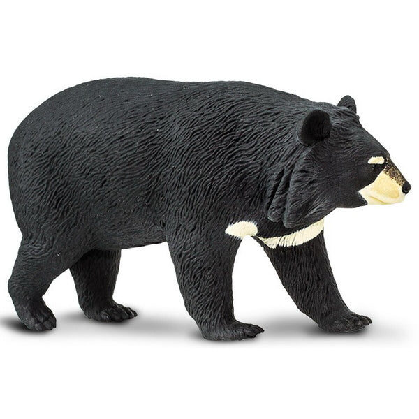 Safari Ltd Παιχνίδι-Μινιατούρα collar bear junior 11,25 x 6 cm
