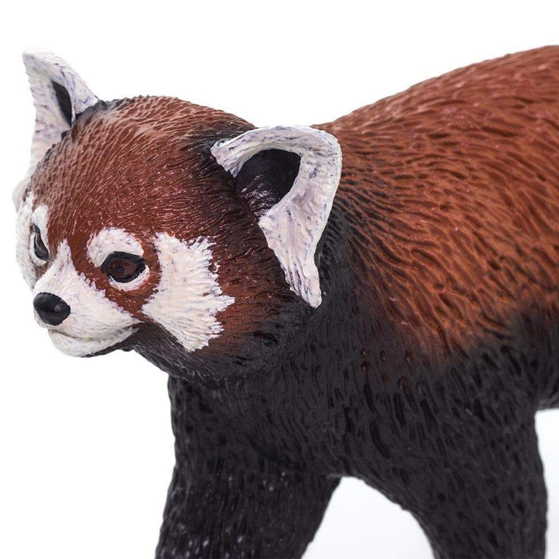 Safari Ltd Παιχνίδι-Μινιατούρα Red Panda 8cm