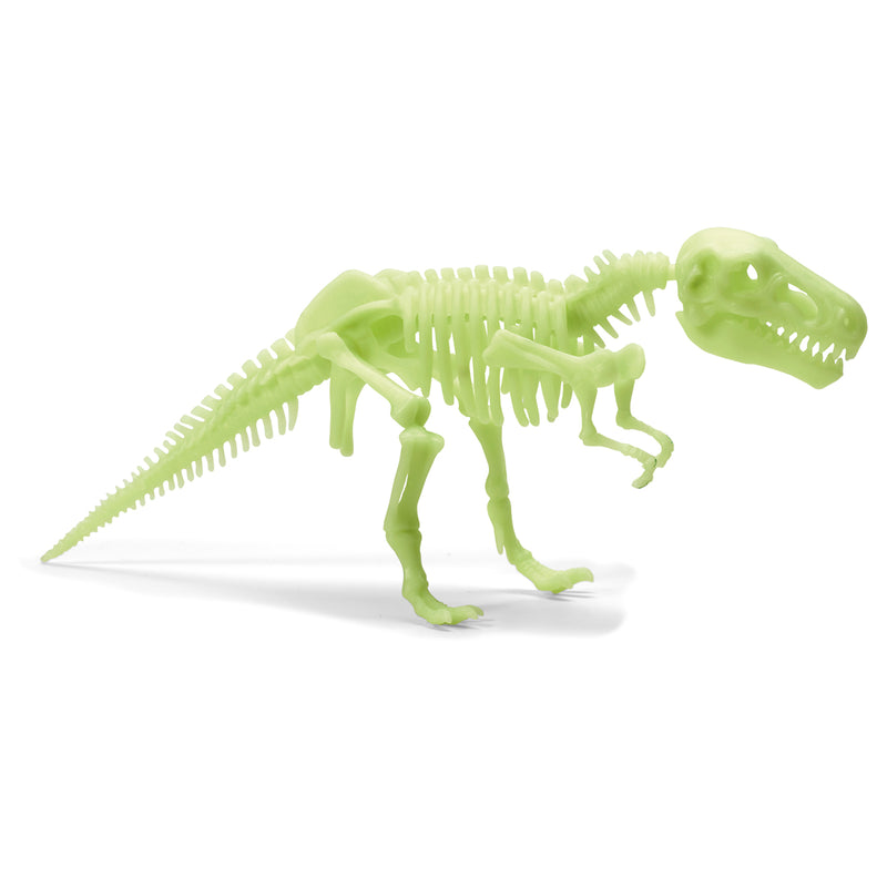 Brainstorm Toys Κατασκευή Σκελετού Τυραννόσαυρου που Φωσφορίζει (SX.20.250.0099)